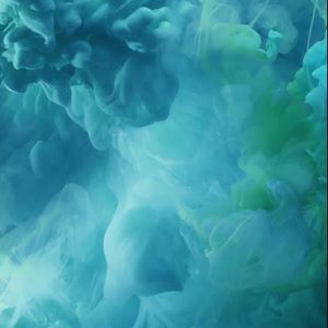 Meet your Posher, Darrell